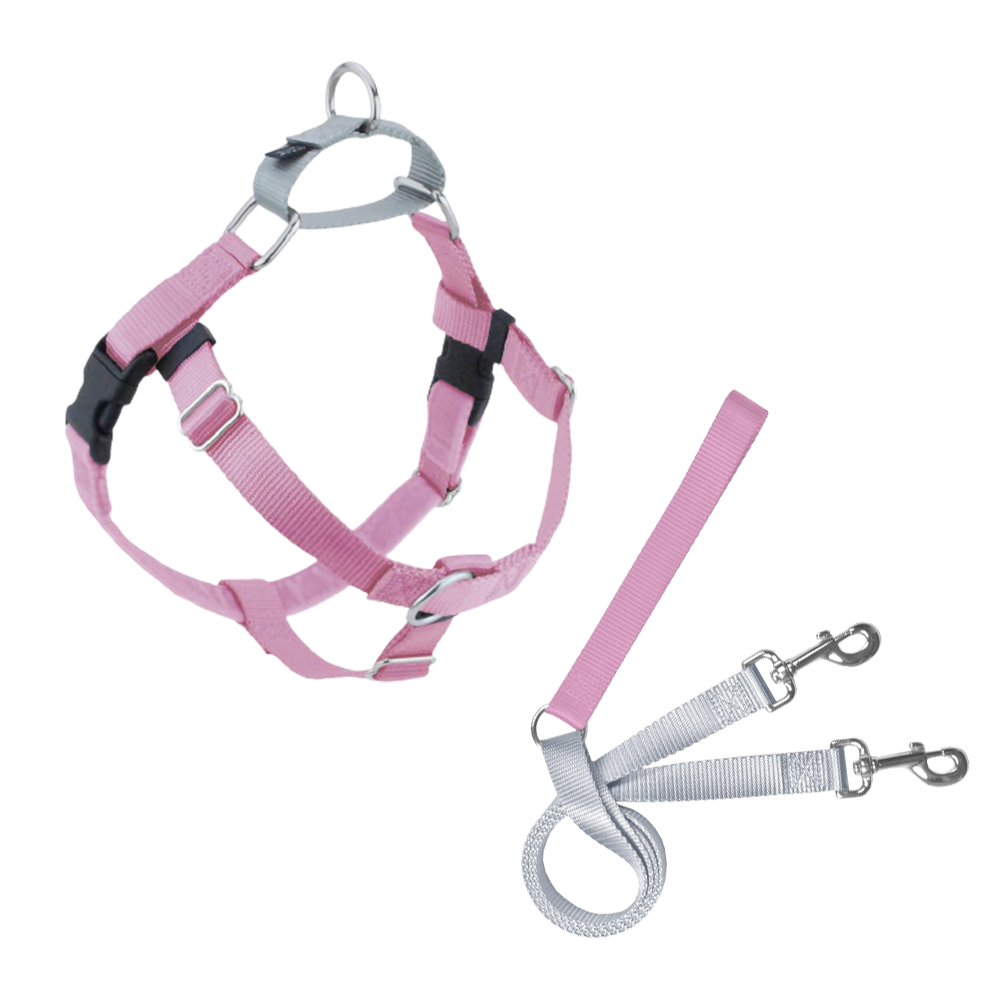 2Houndsdesign Freedom No Pull Harness Double Connection Lead Extra Small Brilliant Family Dog
